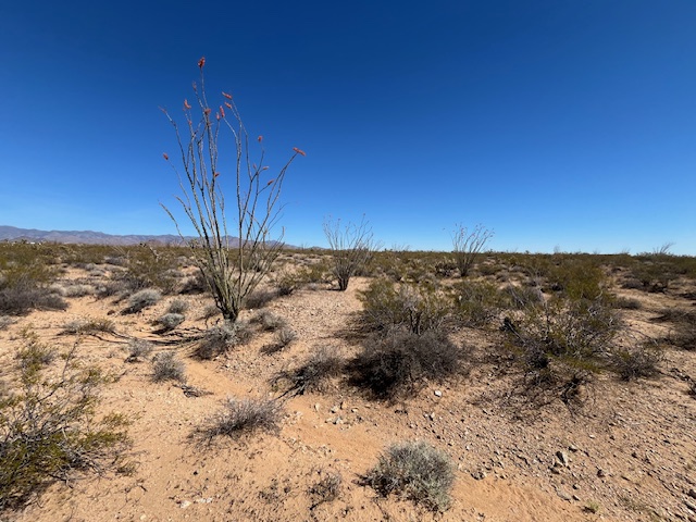 207-17-166a Cherry Road Yucca, AZ 86438 - Photo 5 of 15