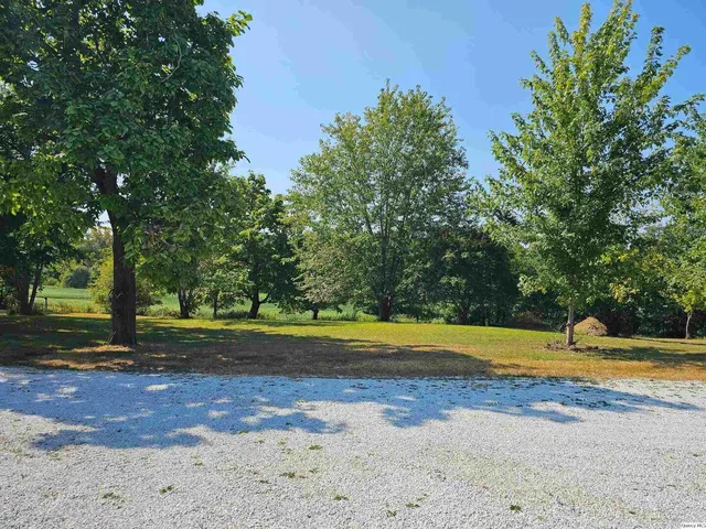 a view of a swimming pool with a yard and large trees