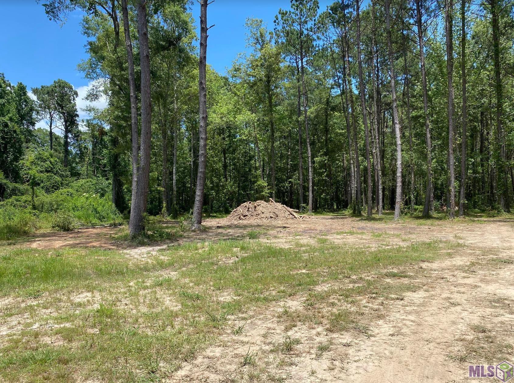 Tbd Tbd Ruby Moore Road Denham Springs, LA 70706 - Photo 1 of 6 Gallery Image 1