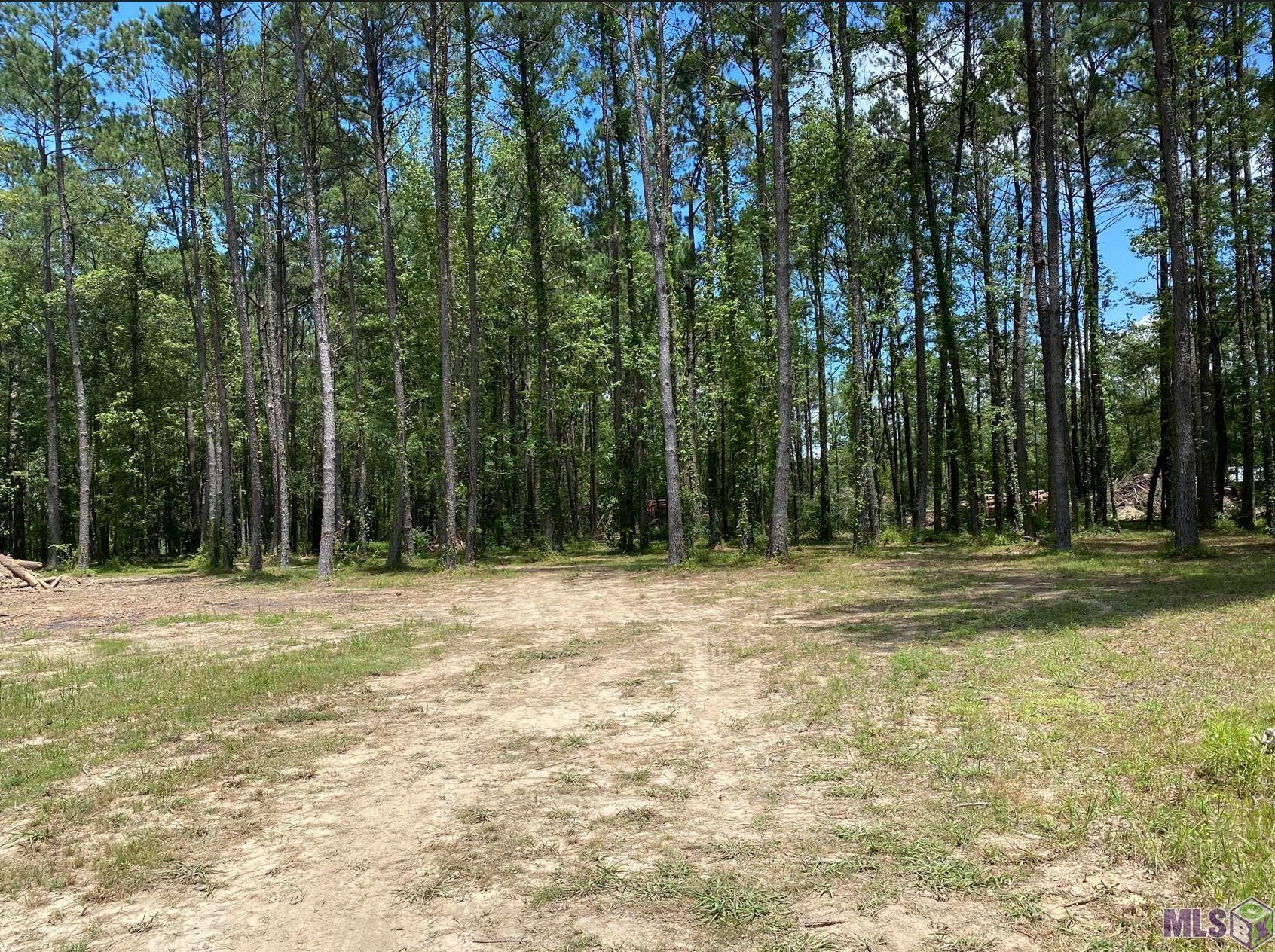 Tbd Tbd Ruby Moore Road Denham Springs, LA 70706 - Photo 2 of 6 Gallery Image 2