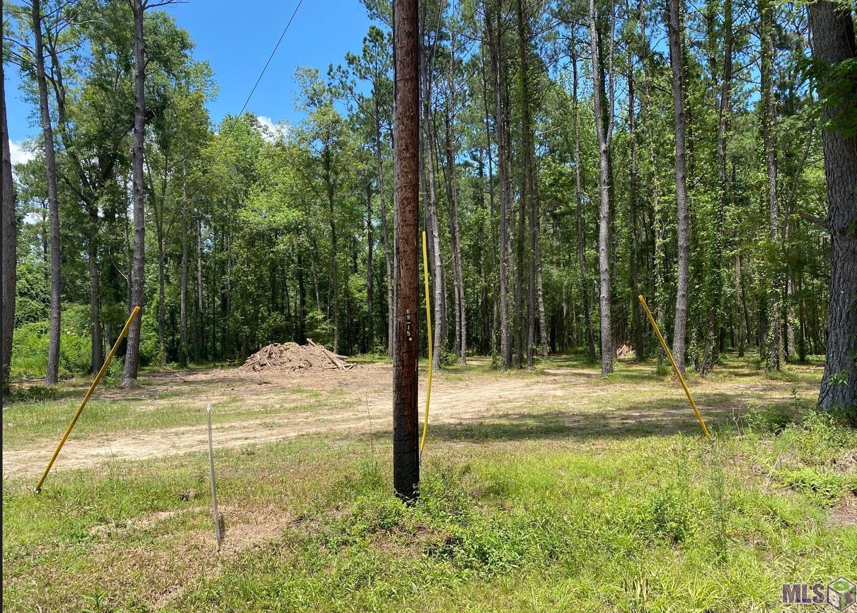 Tbd Tbd Ruby Moore Road Denham Springs, LA 70706 - Photo 3 of 6 Gallery Image 3