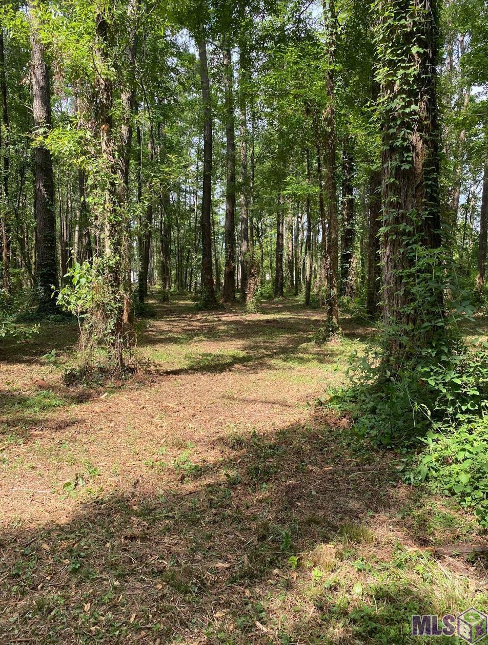 Tbd Tbd Ruby Moore Road Denham Springs, LA 70706 - Photo 4 of 6 Gallery Image 4