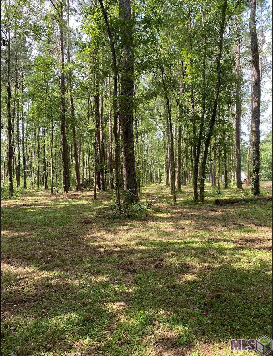 Tbd Tbd Ruby Moore Road Denham Springs, LA 70706 - Photo 5 of 6 Gallery Image 5