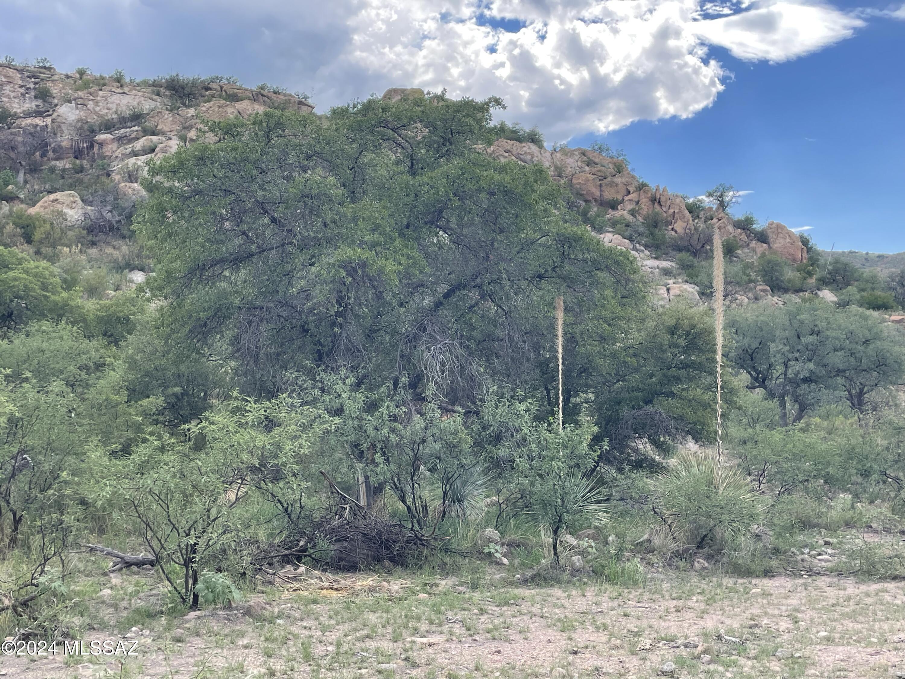 Tbd Tbd Calle De La, Unit 143 5 Rio Rico, AZ 85648 - Photo 18 of 20
