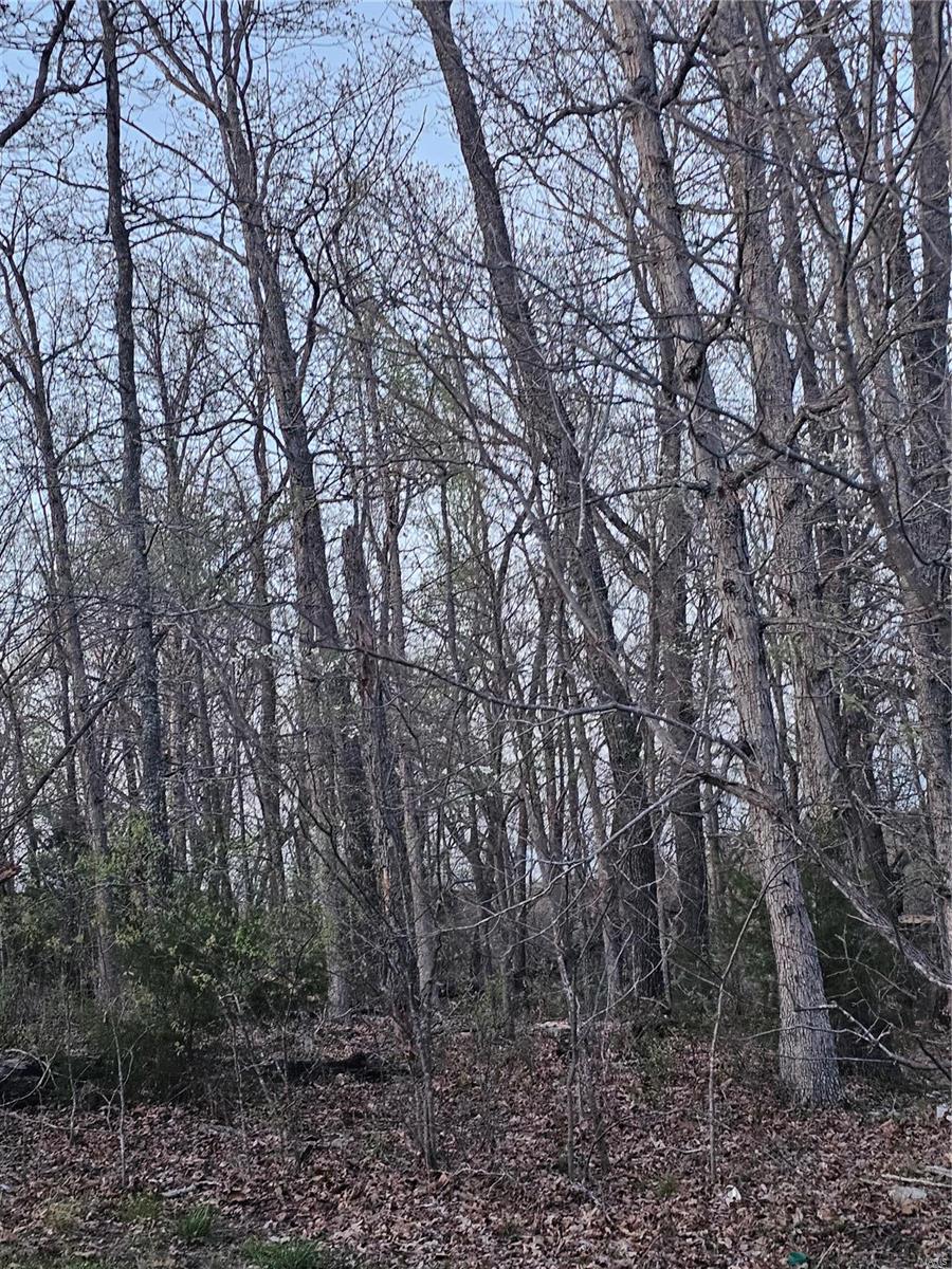 0 Highway Mm Dixon Mo  