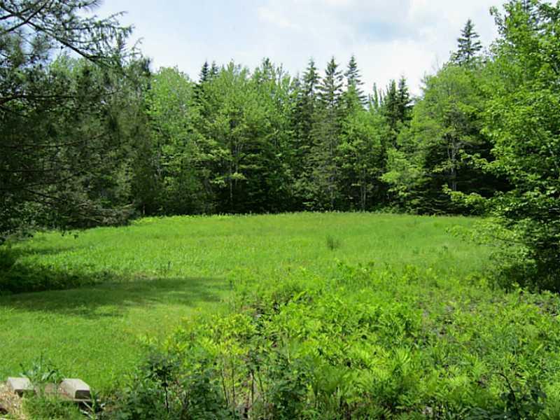 238 Thorne Road Sullivan, ME 04664 - Photo 28 of 31 Yard/Garden. Field behind house