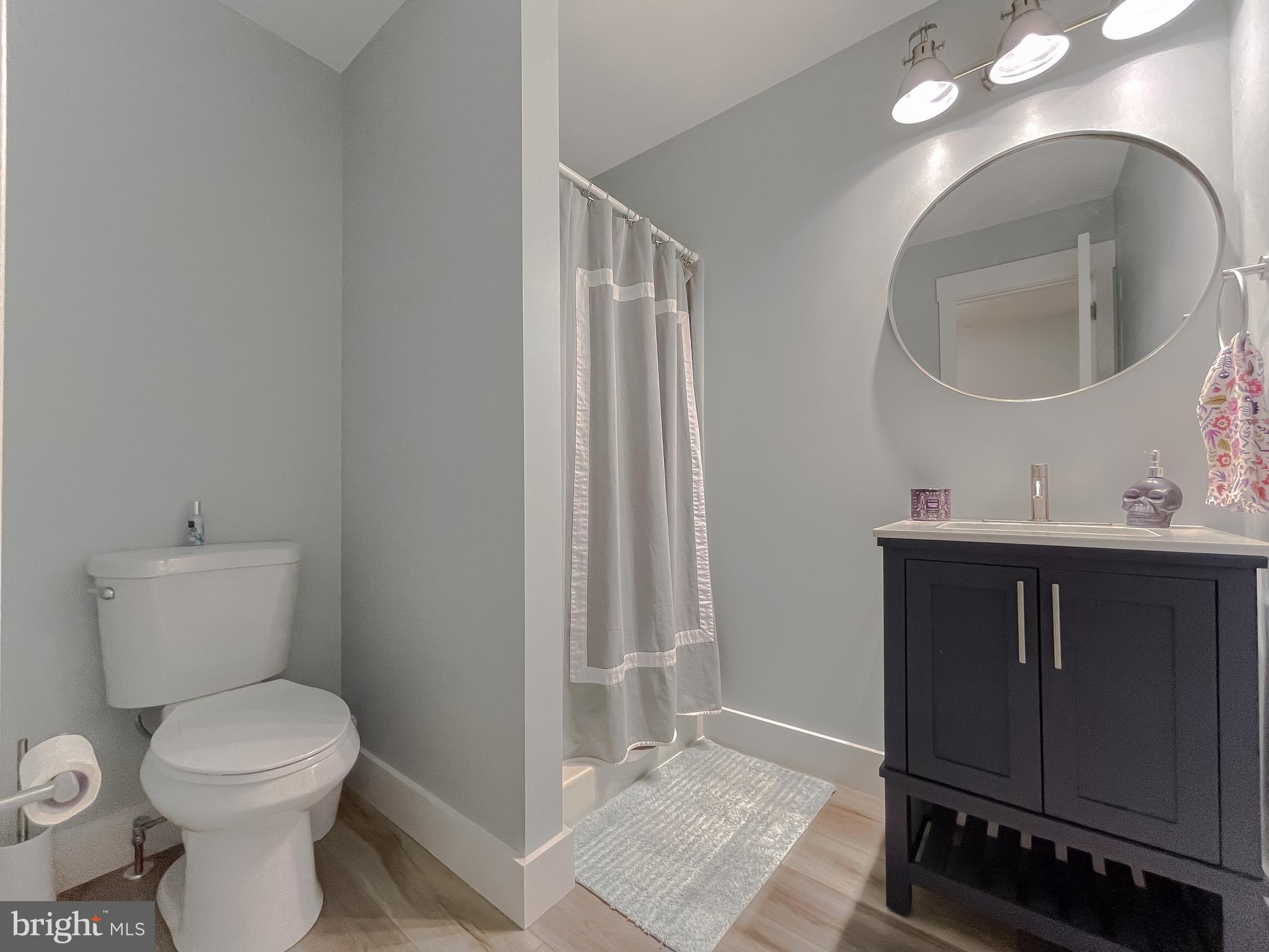 13630 Dowell Road Solomons, MD 20657 - Photo 44 of 121 a bathroom with a sink a toilet and a mirror