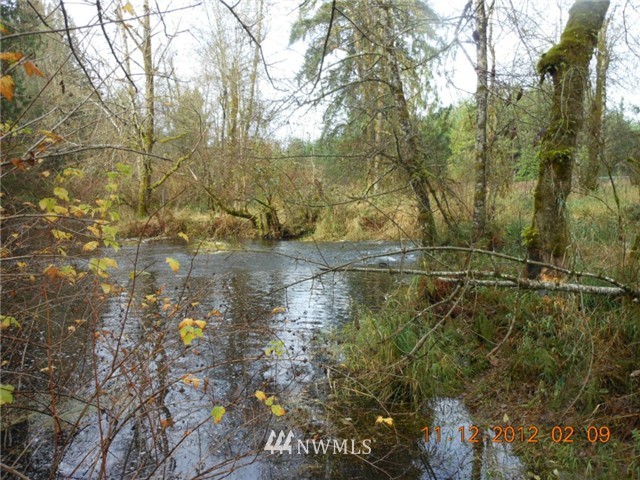 5740 133rd Avenue Southwest Rochester, WA 98579 - Photo 8 of 10 a view of a lake from a yard