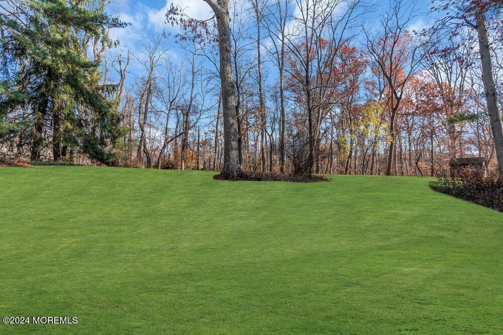 244 Heyers Mill Road Colts Neck, NJ 07722 - Photo 21 of 27 backyard