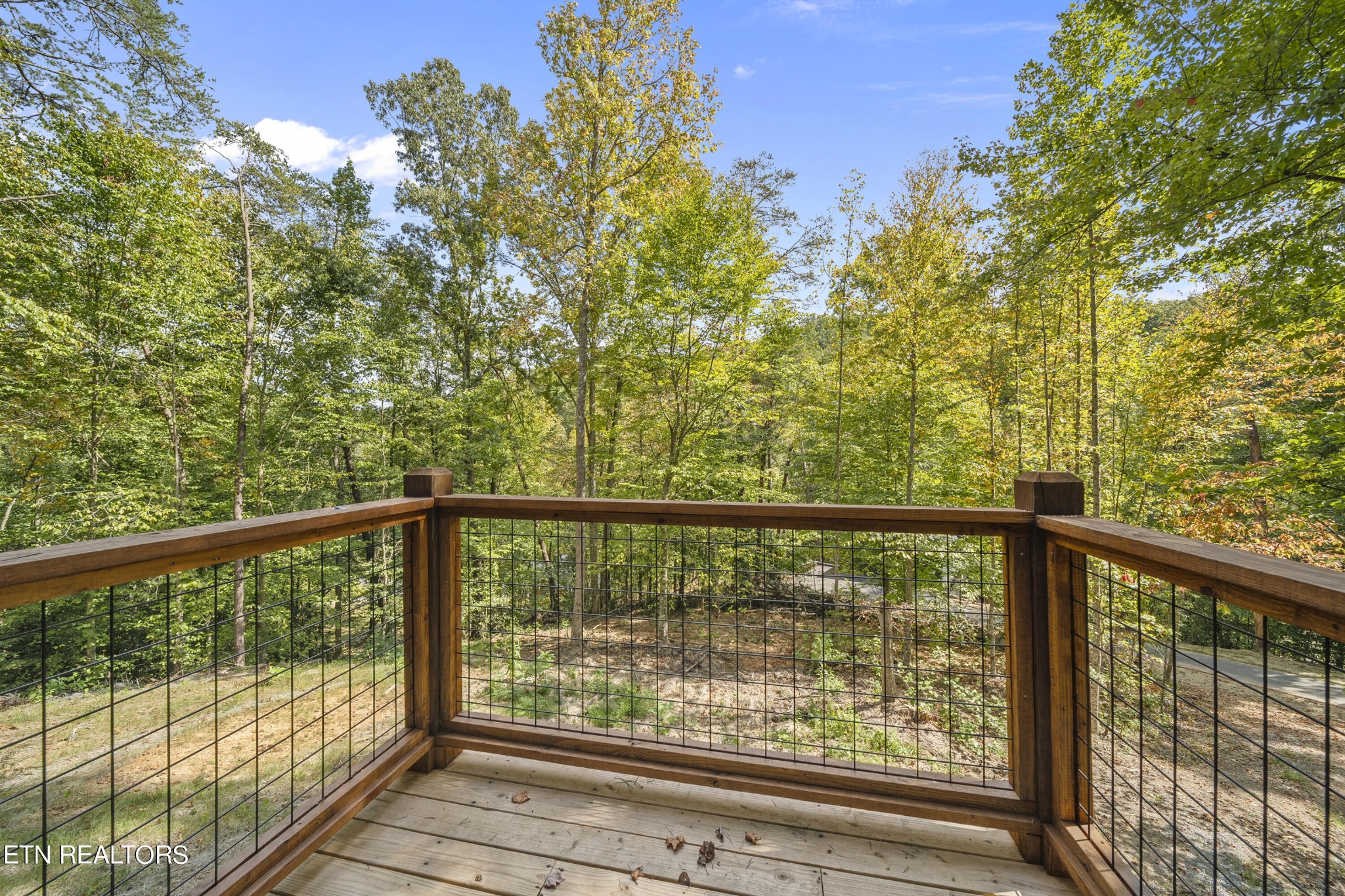 1467 Licking Spring Way, Unit 4 Sevierville, TN 37876 - Photo 9 of 23 Gallery Image 9