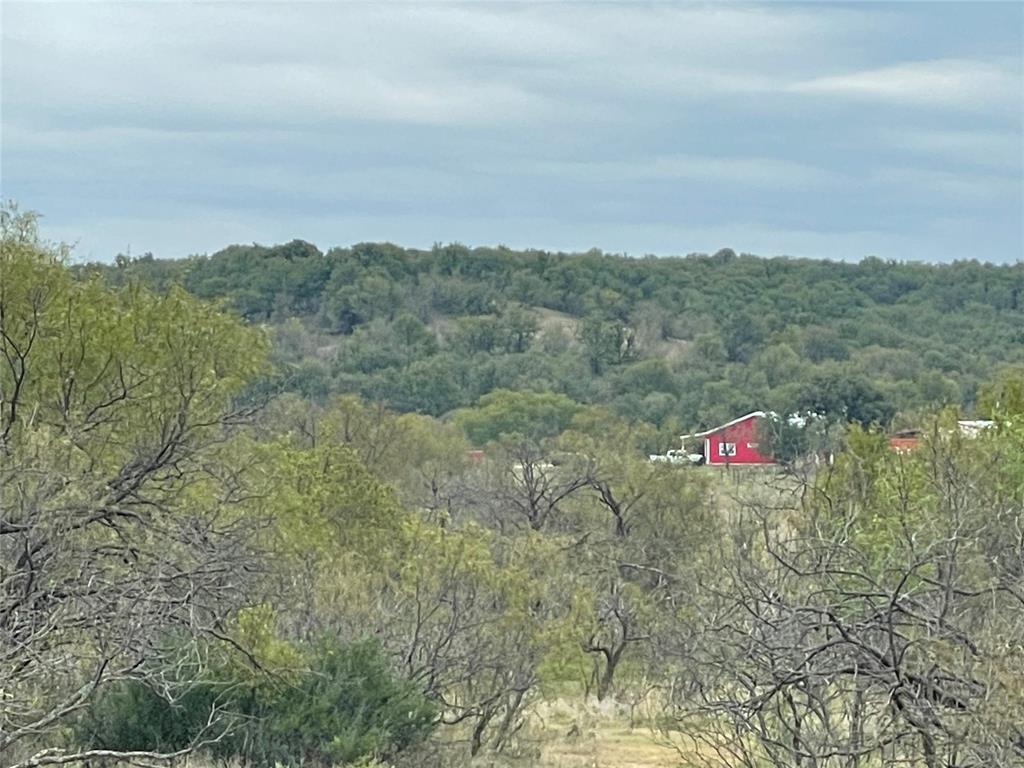 1161 Lynn Creek Road Jacksboro, TX 76458 - Photo 2 of 40 Birds eye view of property