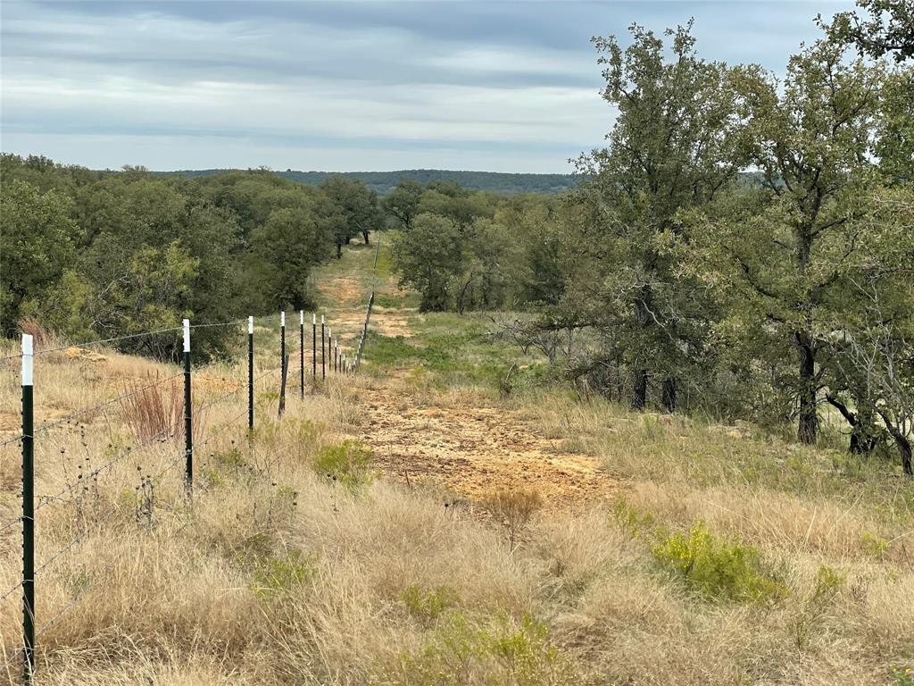 1161 Lynn Creek Road Jacksboro, TX 76458 - Photo 28 of 40 View of nature featuring a rural view