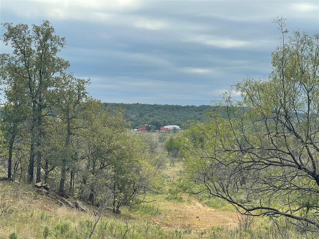 1161 Lynn Creek Road Jacksboro, TX 76458 - Photo 30 of 40 Mountain view