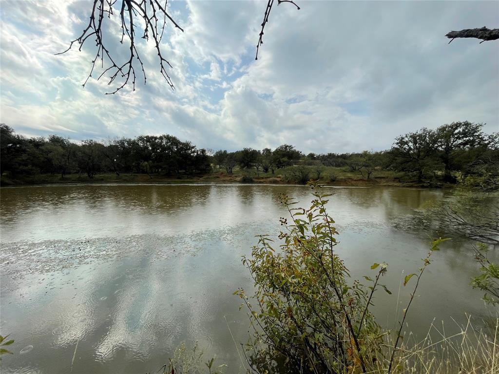 1161 Lynn Creek Road Jacksboro, TX 76458 - Photo 7 of 40 View of water feature