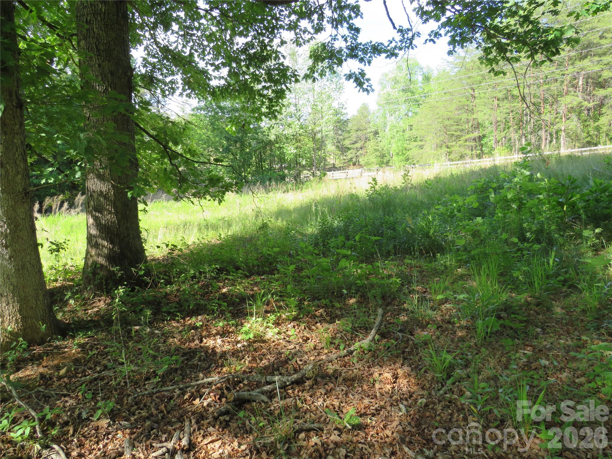 0 Blue Sapphire Lane Rutherfordton, NC 28139 - Photo 16 of 25