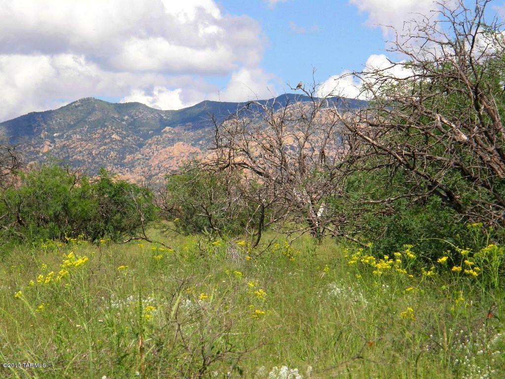 Lot 62 East Naiche Road, Unit 62 St. David, AZ 85630 - Photo 6 of 20