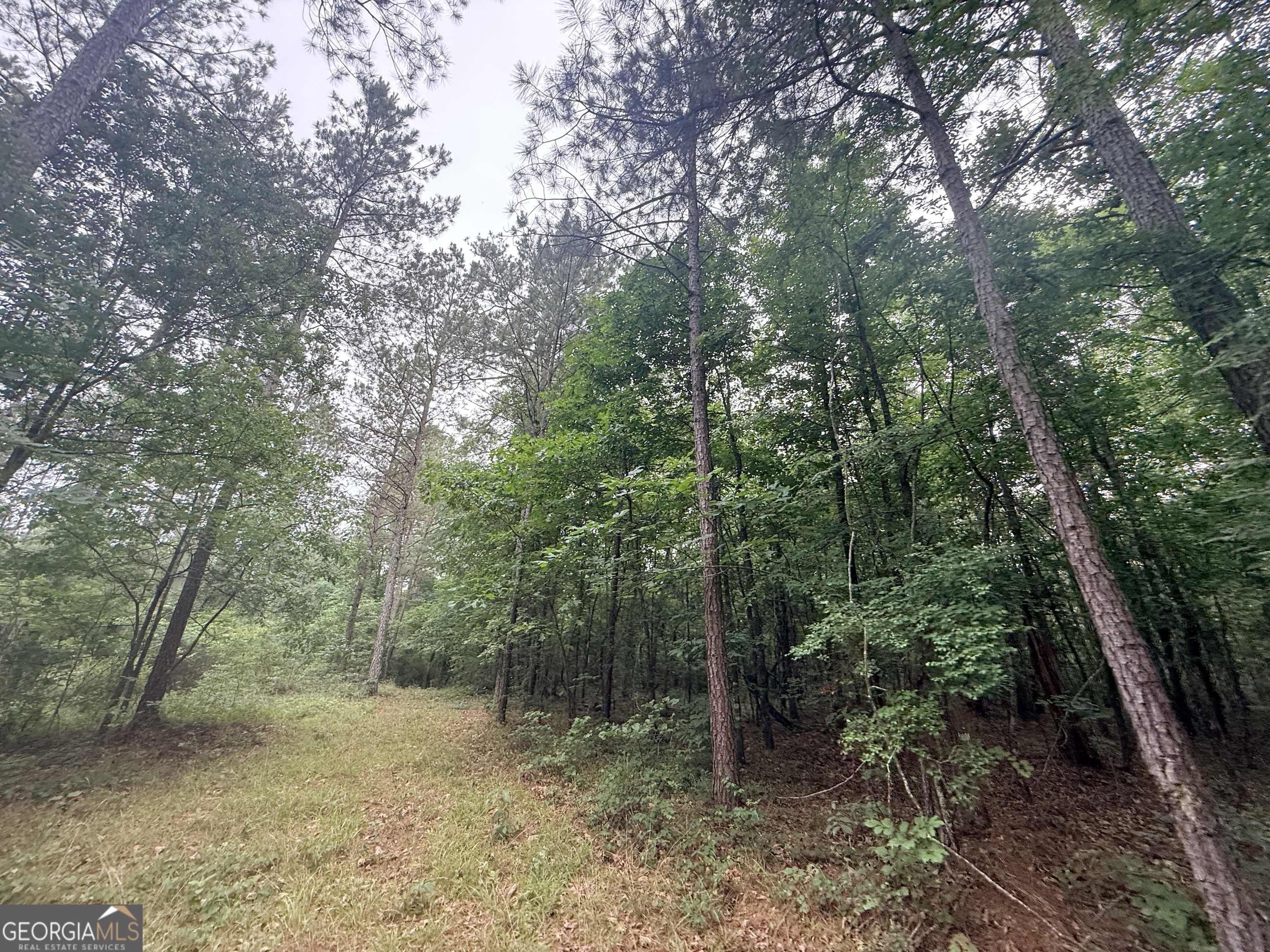 3 Bethesda Church Road Lexington, GA 30648 - Photo 15 of 60