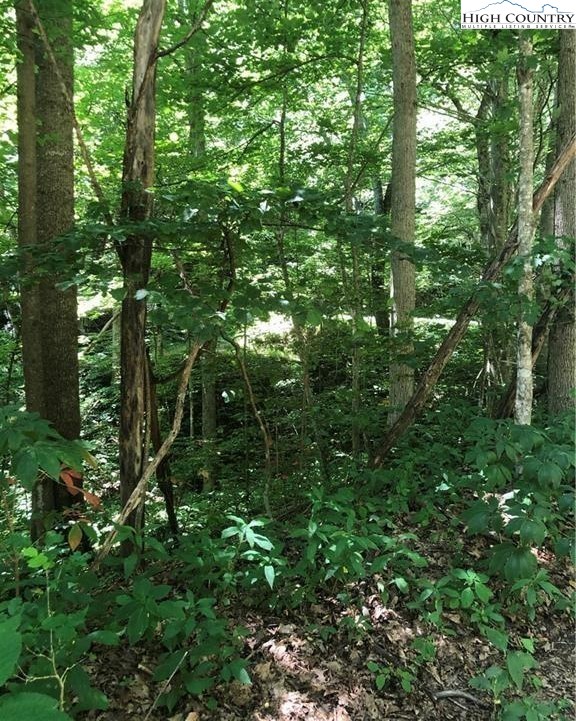 7 7 Oaks Road Boone, NC 28607 - Photo 4 of 6