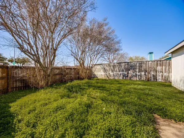 a view of a yard with large trees