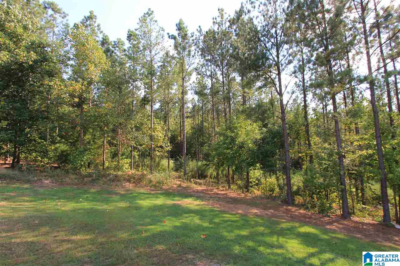 590 Meadow Ridge Drive Piedmont, AL 36272 - Photo 39 of 50