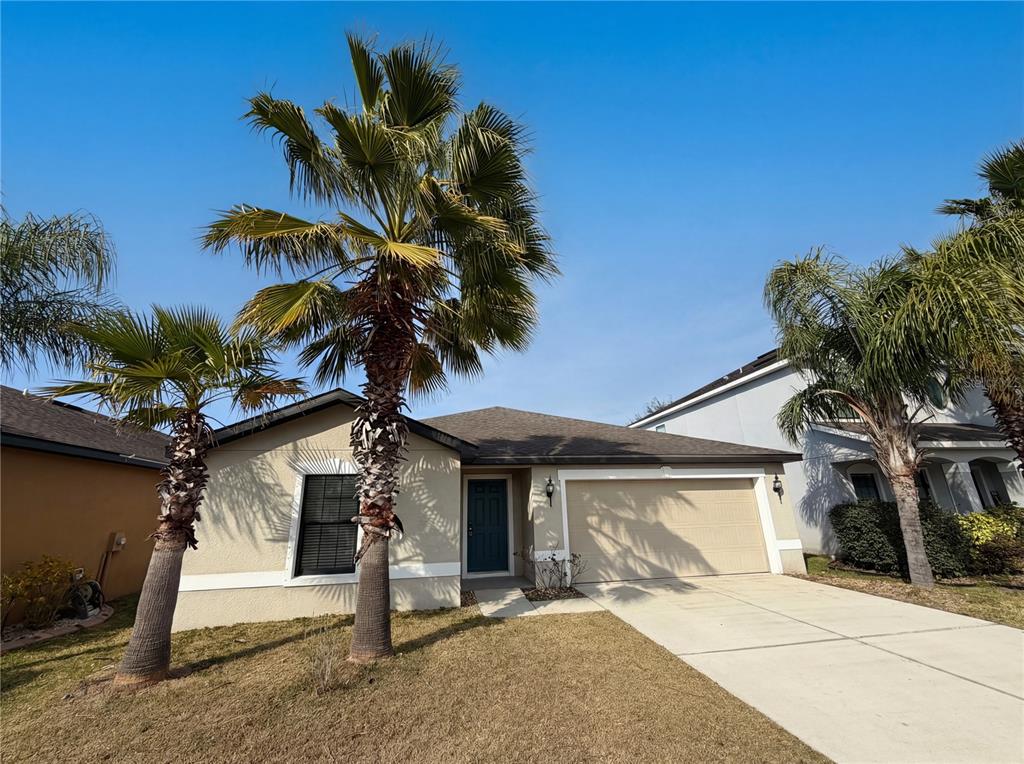 11212 Carrick Stone Street Wimauma, FL 33598 - Photo 9 of 24