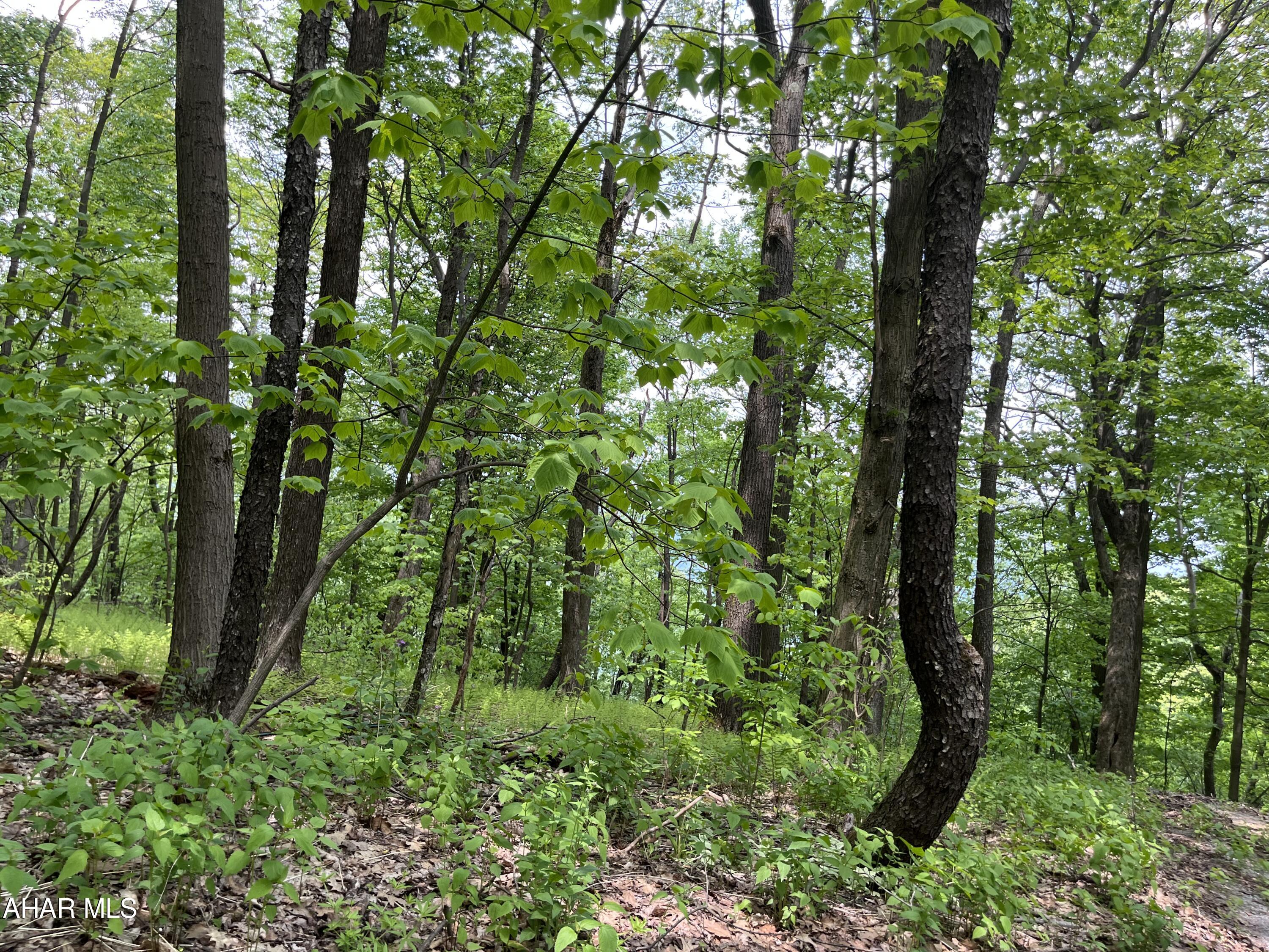 0 Ridge Run Road Claysburg, PA 16625 - Photo 6 of 24