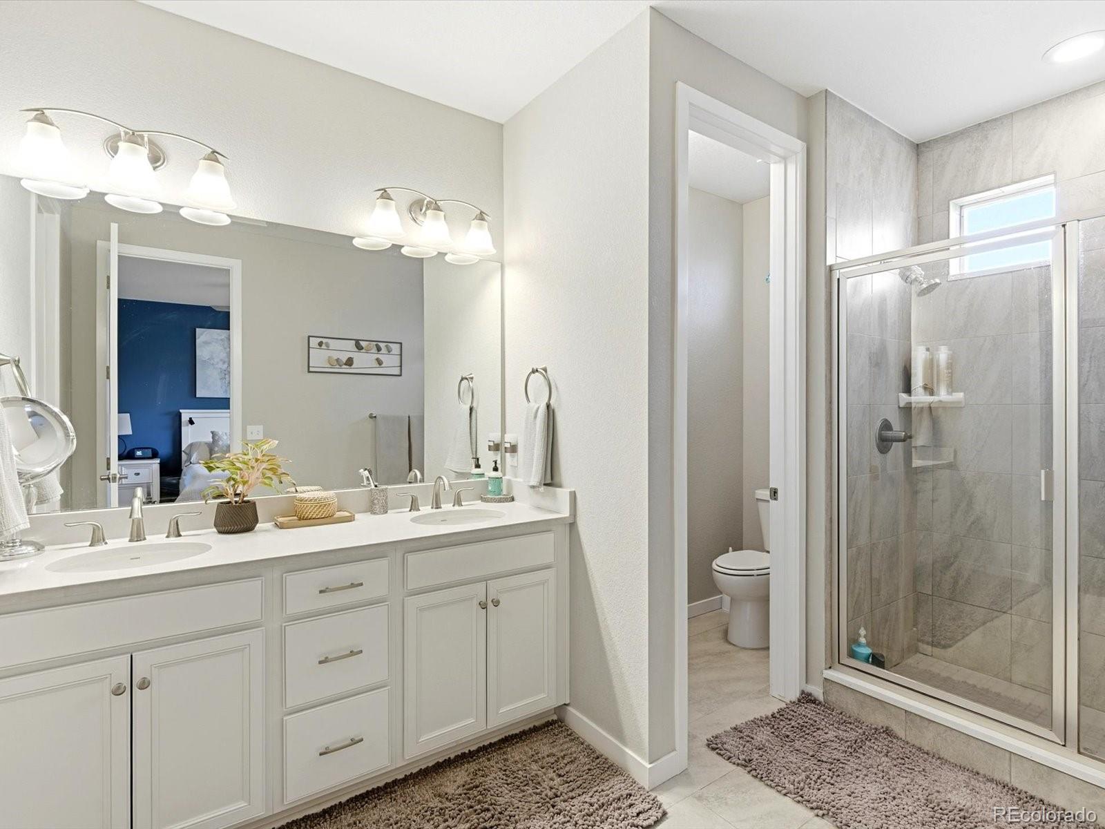 8338 Rivulet Point Highlands Ranch, CO 80129 - Photo 32 of 50 a spacious bathroom with a shower sink mirror and toilet