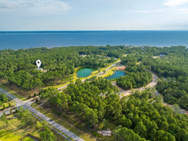 a bird view of a forest