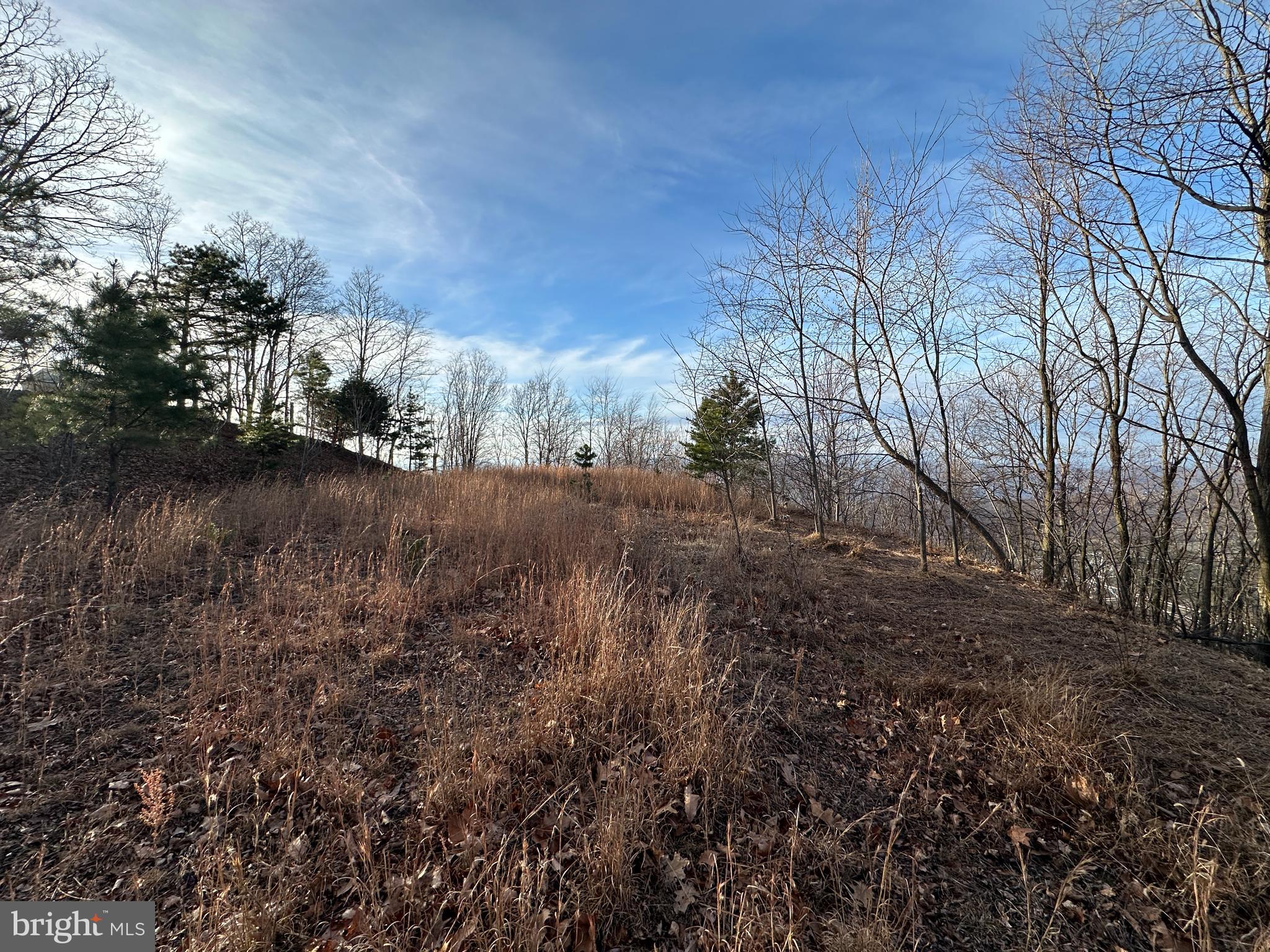 333 Nathaniel Mountain Road Moorefield, WV 26836 - Photo 32 of 65