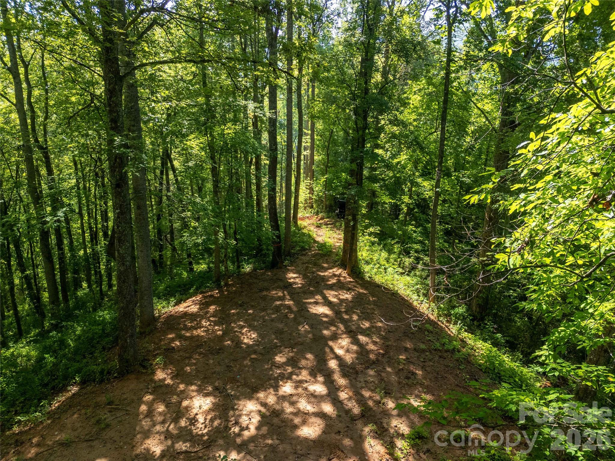 Lot D Claude Cook Road Sylva, NC 28779 - Photo 7 of 7 Gallery Image 7