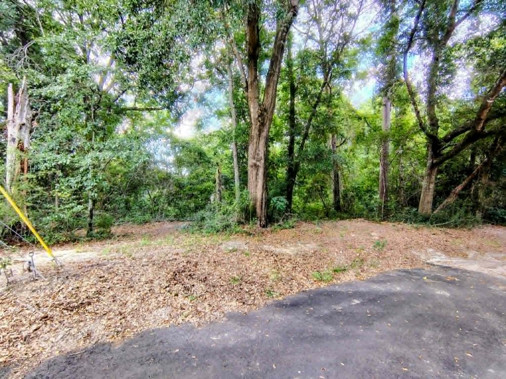 0 Baker Avenue Geneva, AL 36340 - Photo 8 of 8