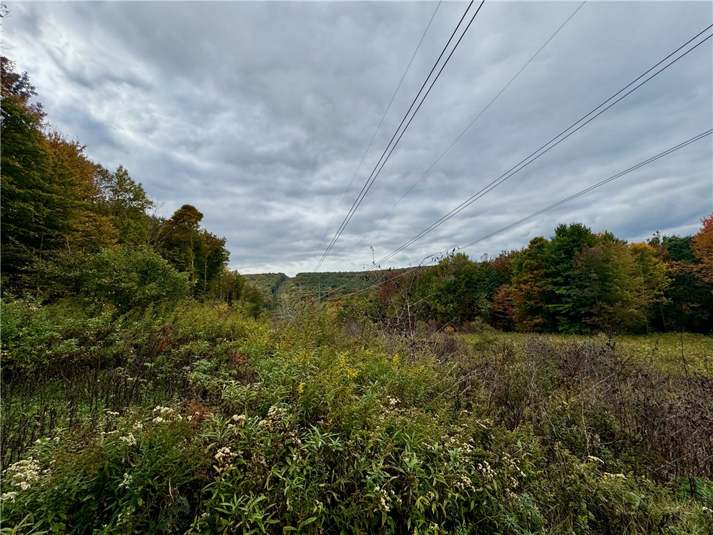 Gallop Hill Road Walton, NY 13856 - Photo 13 of 48 Gallery Image 13