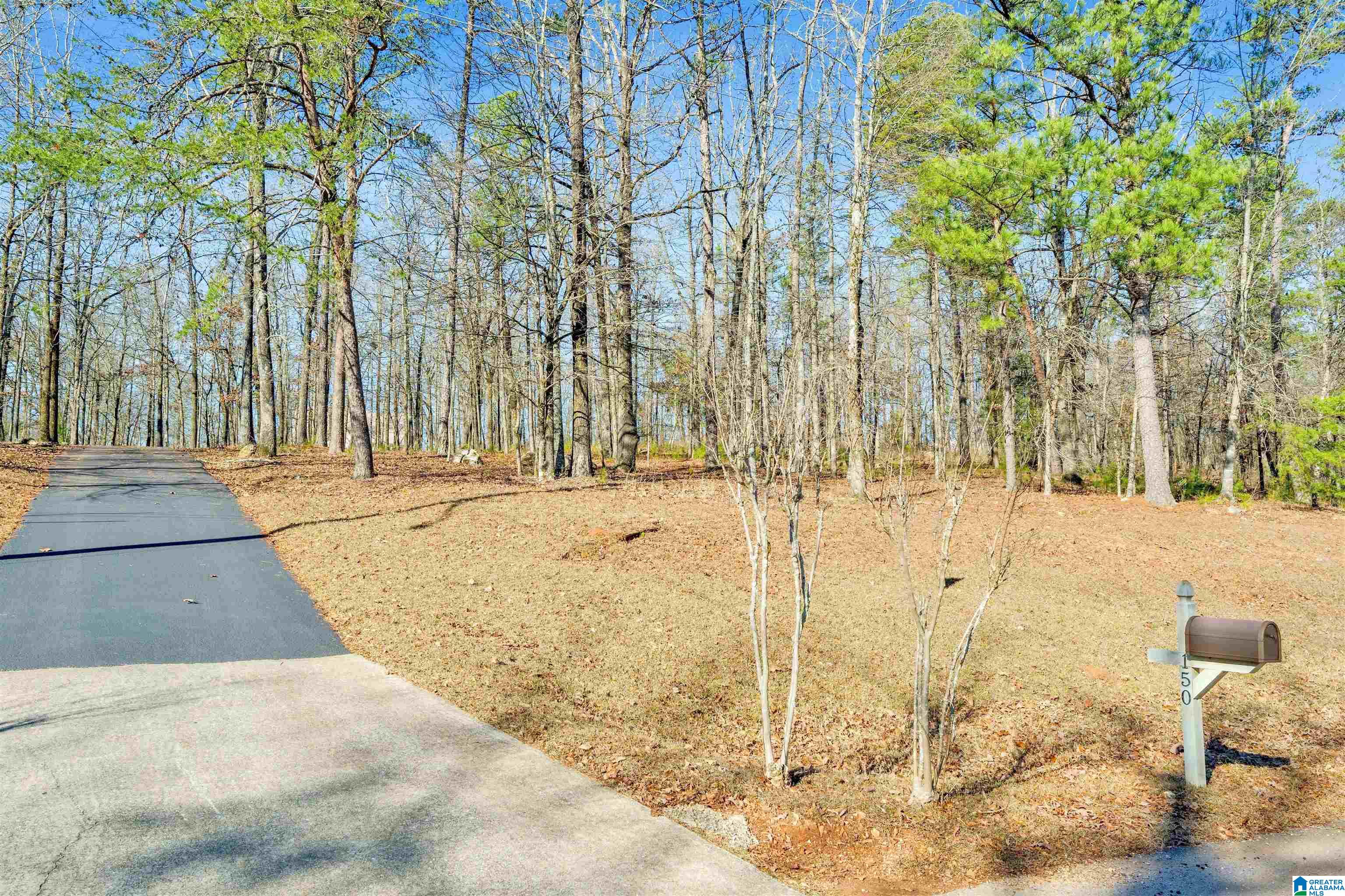 150 Chestnut Drive Alabaster, AL 35007 - Photo 2 of 61