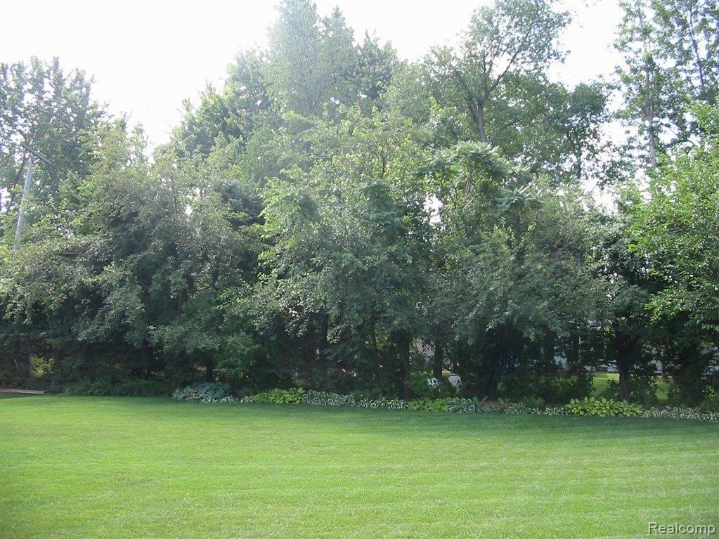 2401 Rancroft Beat Rochester, MI 48306 - Photo 11 of 11 privateyard.jpg