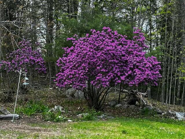 69 Goulds Ridge Road Passadumkeag, ME 04475 - Photo 15 of 77 Passadumkeag 1