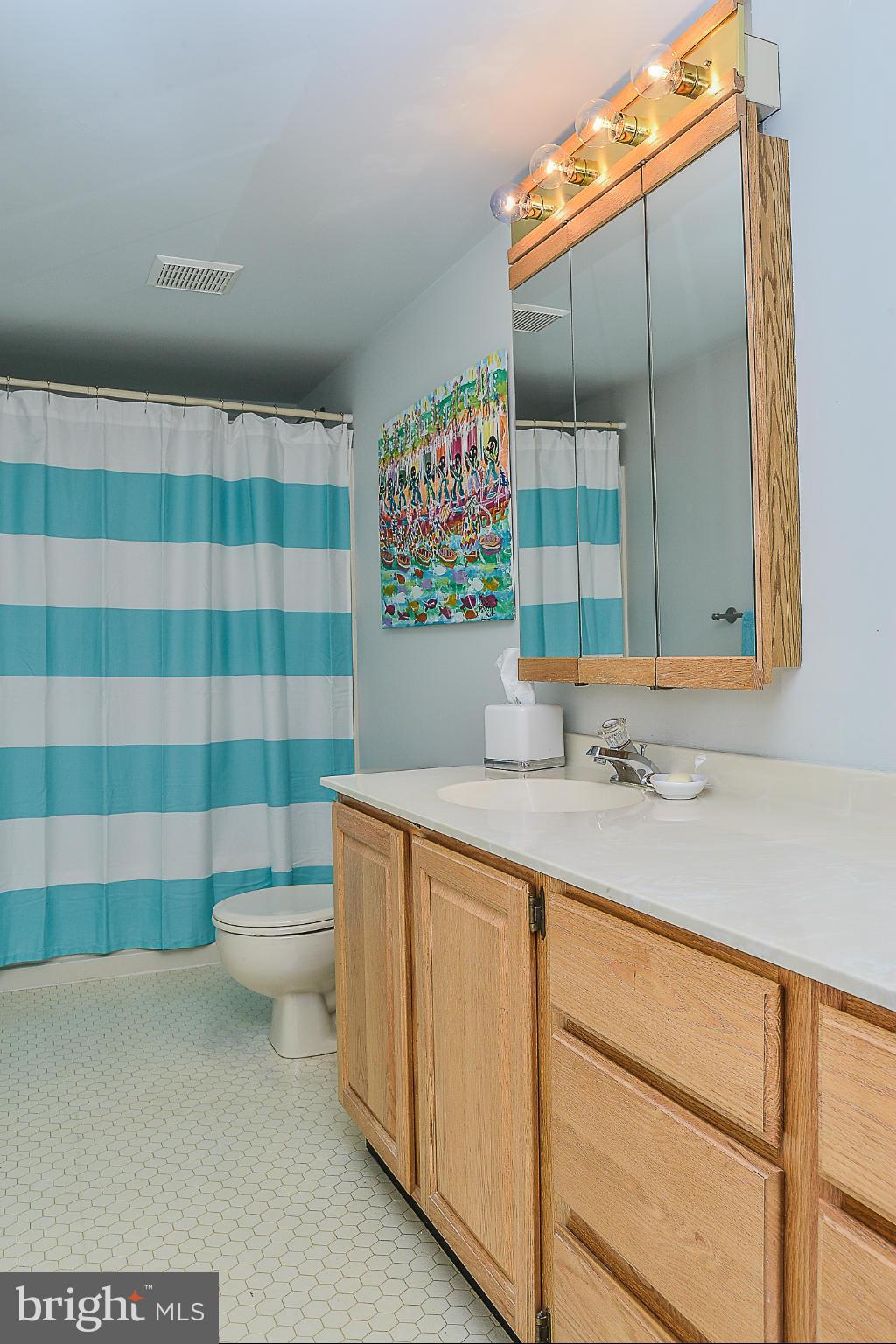 2003 Spring Branch Drive Vienna, VA 22181 - Photo 22 of 30 Lower Level Bath