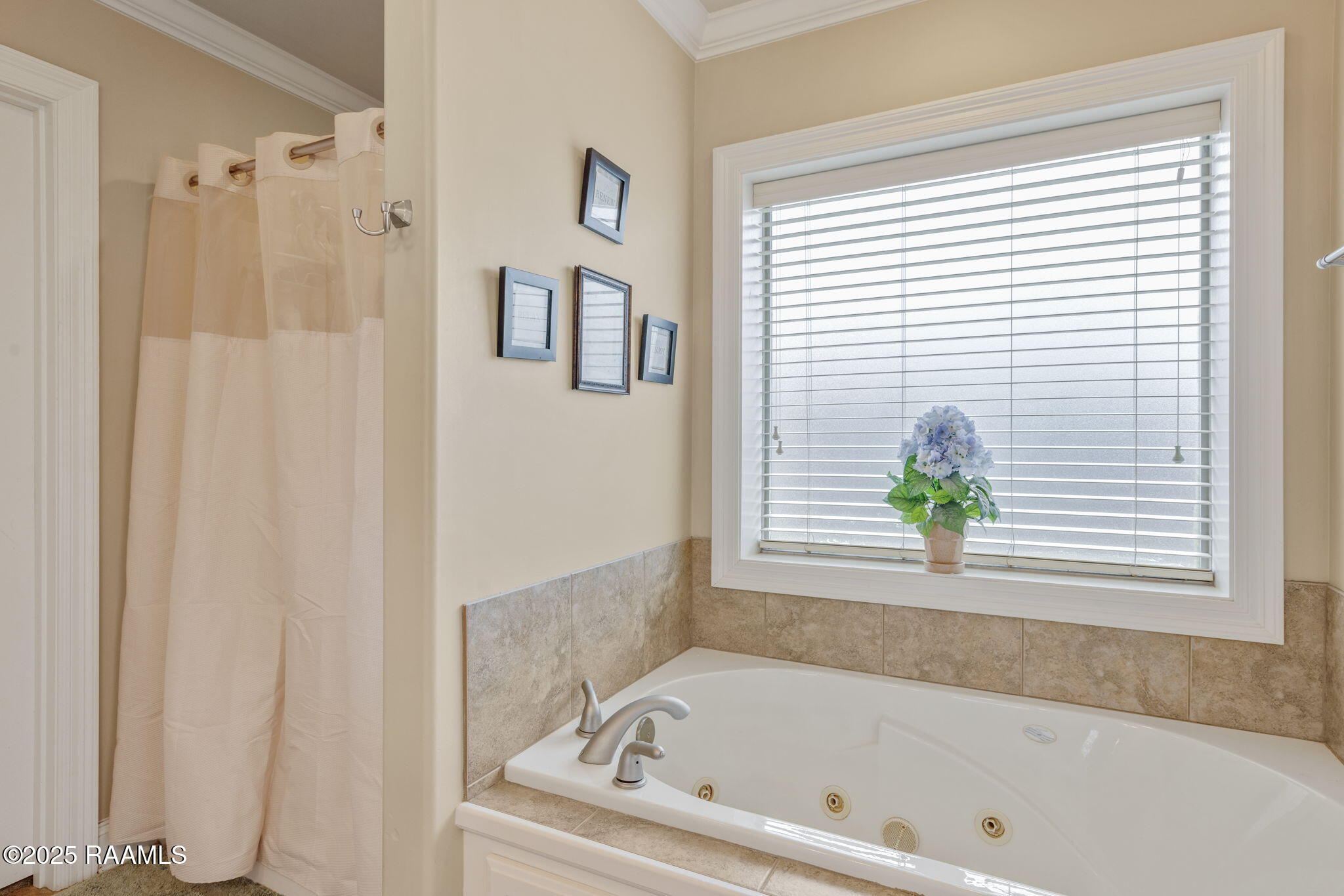 134 Rue Des Cannes Maurice, LA 70555 - Photo 17 of 23 15-web-or-mls-134 Rue des Cannes-15