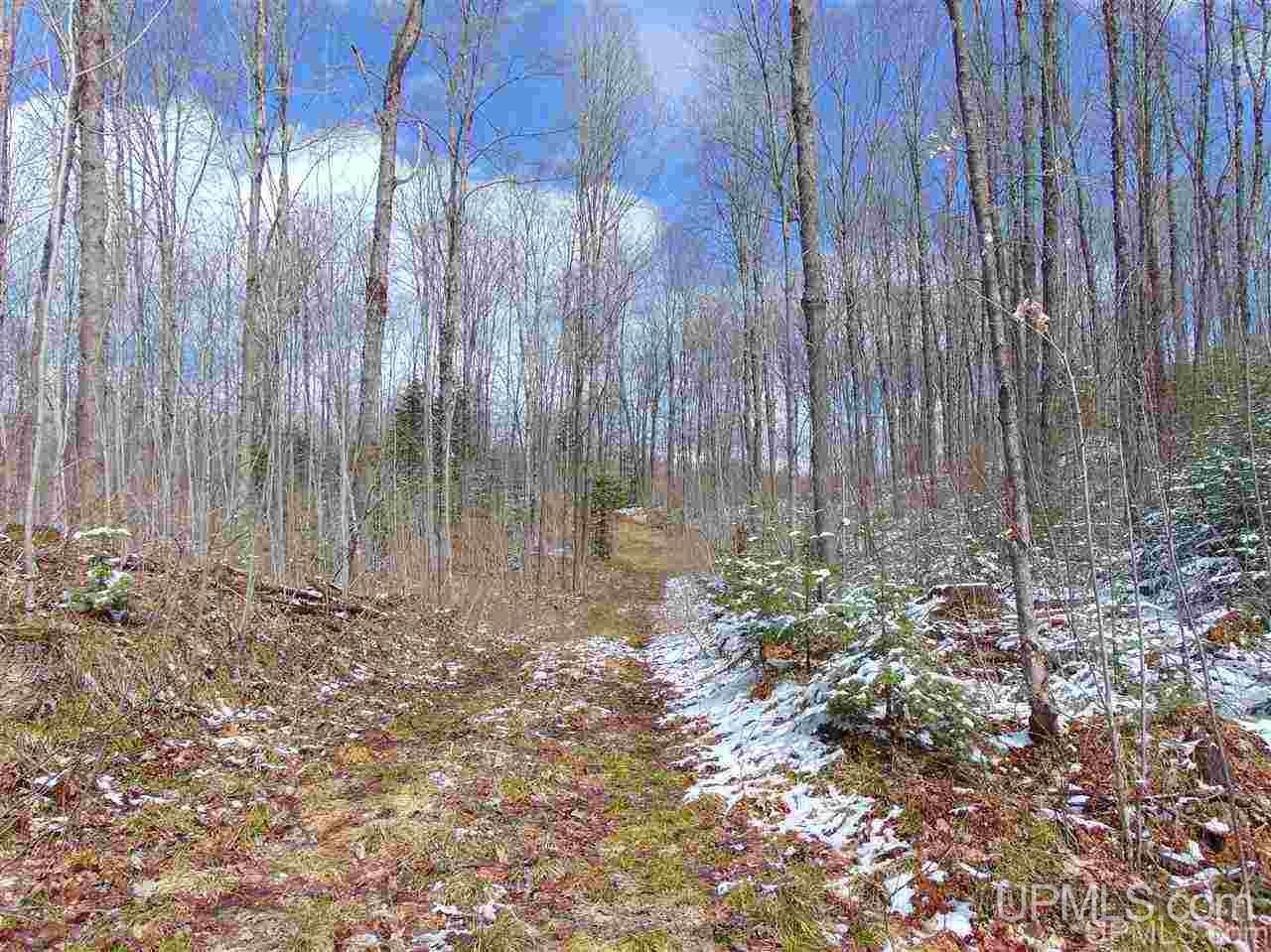 Tbd County Line Lake Road Watersmeet, MI 49969 - Photo 16 of 20 Gallery Image 16