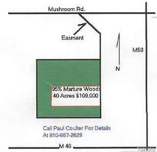 V/l Mushroom Road Deford, MI 48729 - Photo 1 of 1 Property Photo