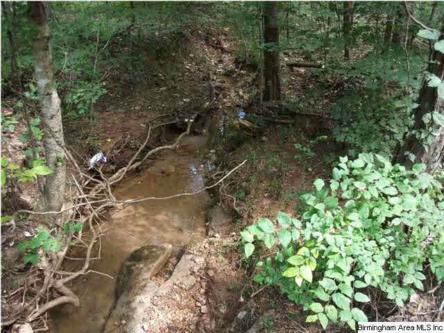 777 Clayton Cove Road, Unit 33 AC Pinson, AL 35126 - Photo 19 of 20