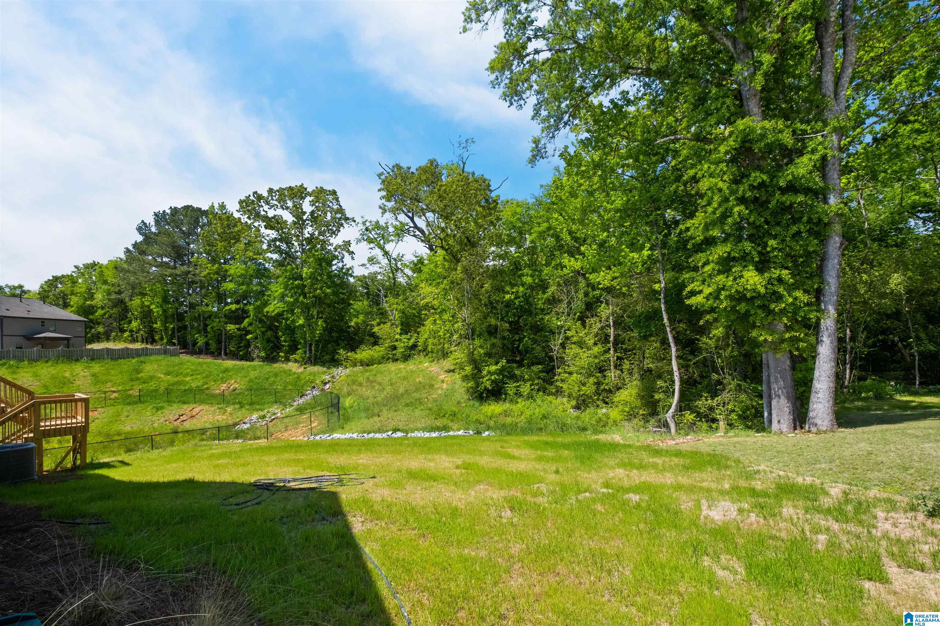 250 Macdonald Way Springville, AL 35146 - Photo 43 of 46 Gallery Image 43