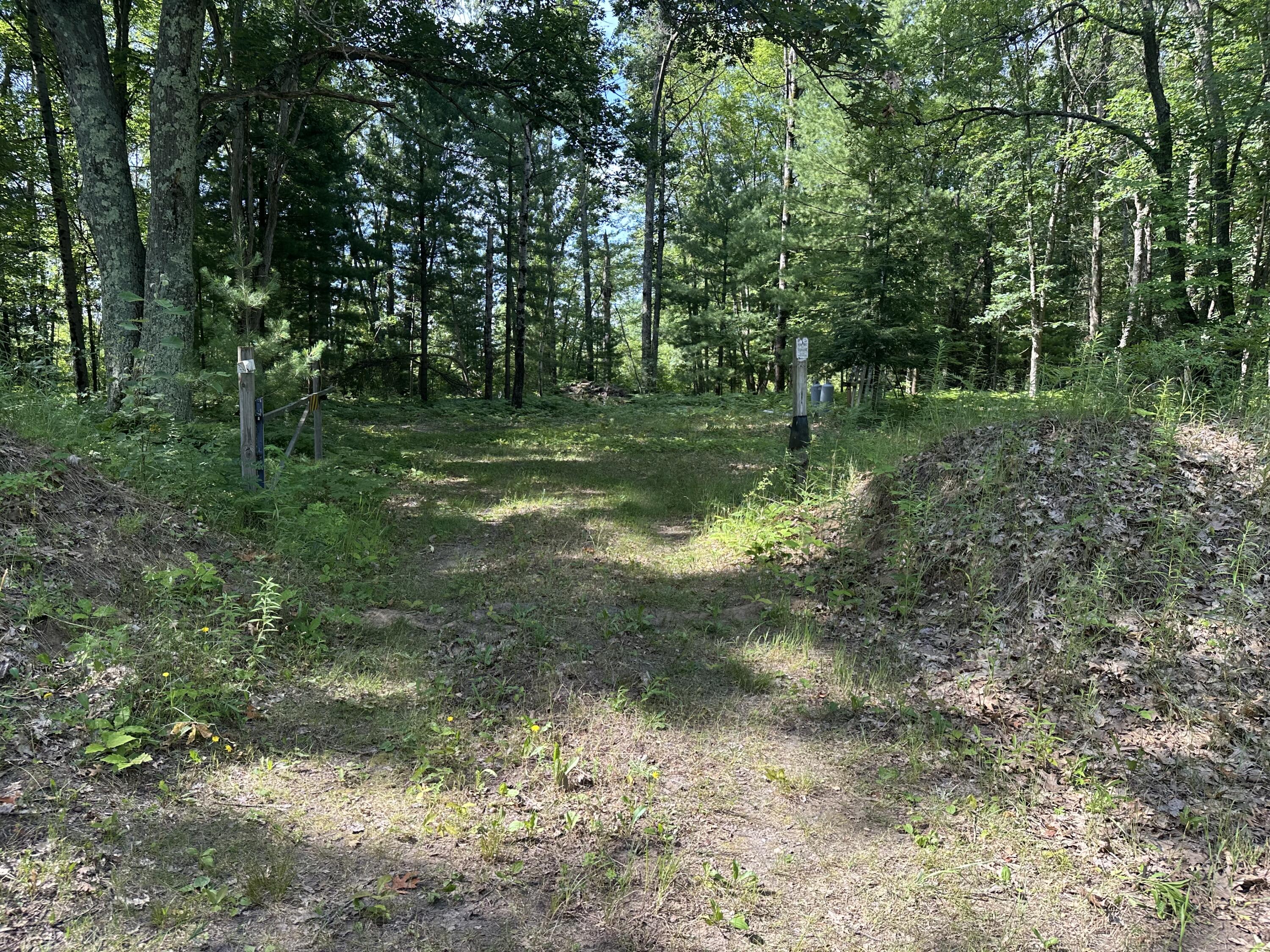 802 Beaver Road Bitely, MI 49309 - Photo 1 of 12 IMG_9280