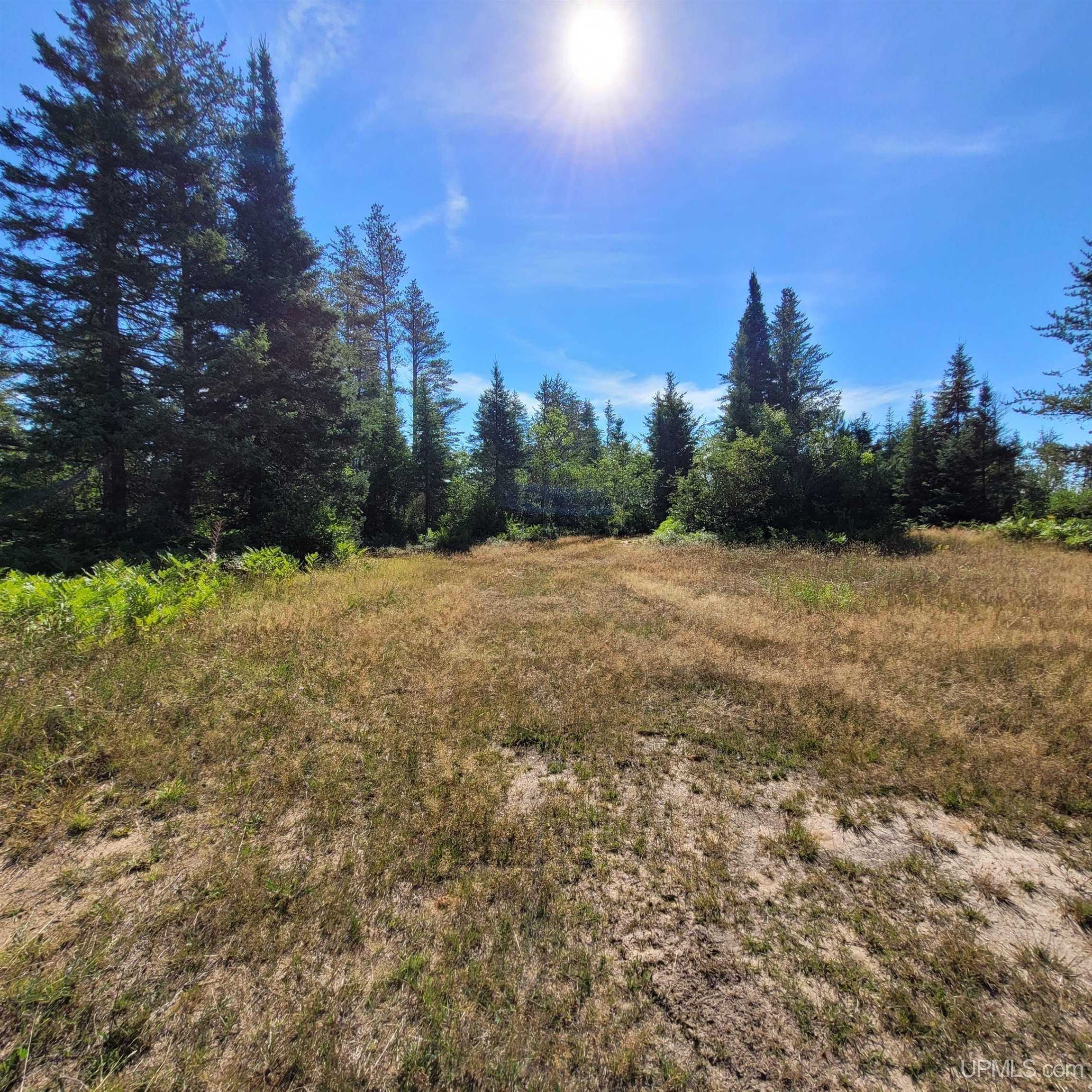 76 Acres Road Gwinn, MI 49841 - Photo 56 of 64