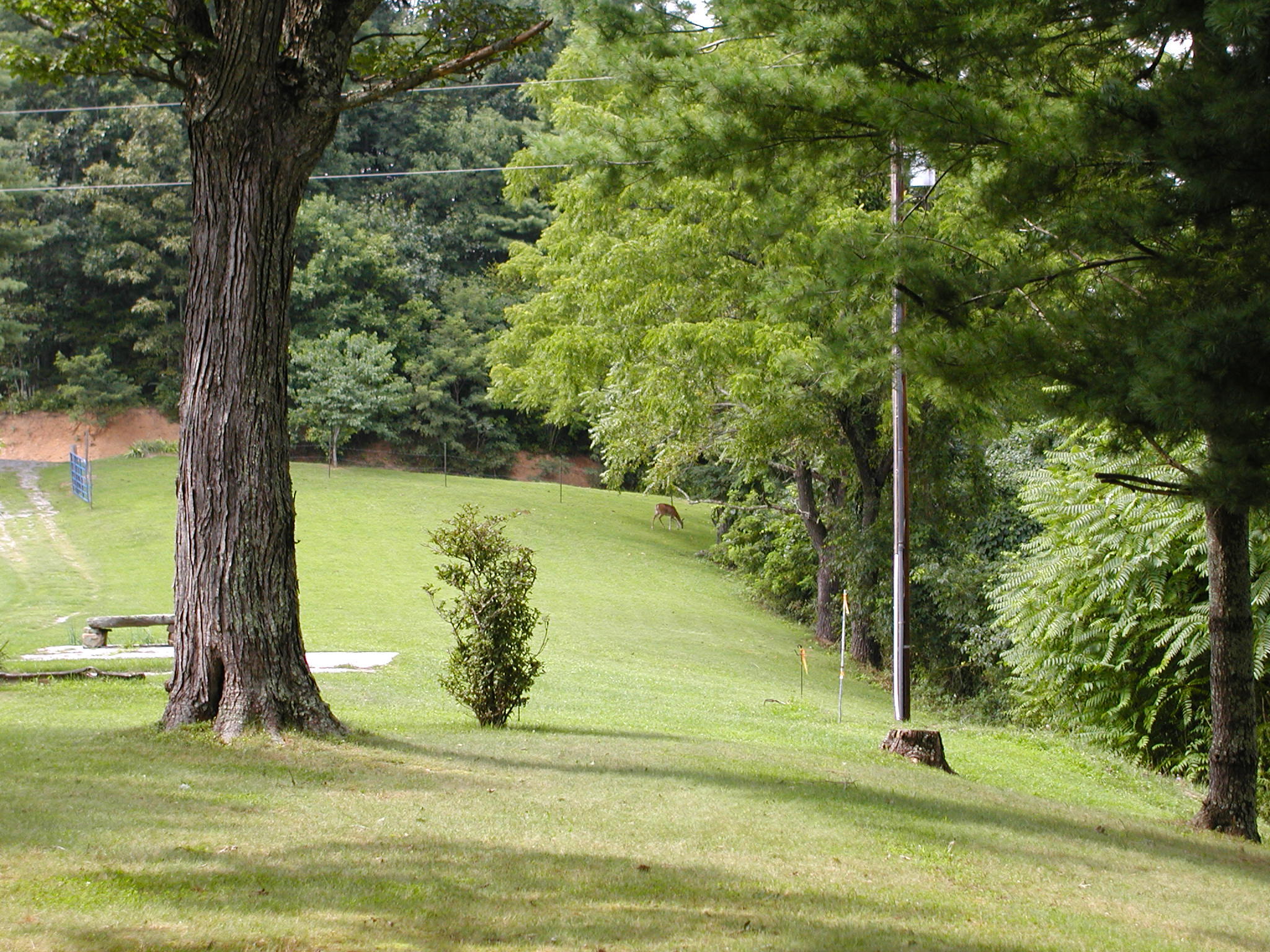 2118 River Ridge Road Pipestem, WV 25979 - Photo 52 of 71 Gallery Image 52