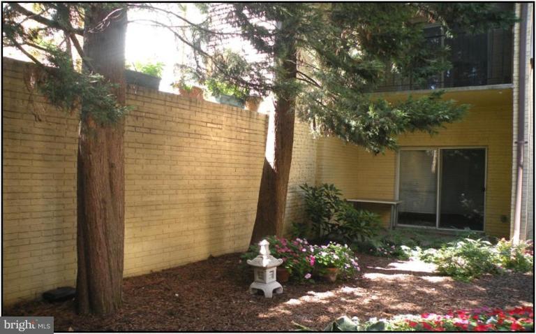 615 3rd Street Northeast, Unit 3 Washington, DC 20002 - Photo 3 of 11 Back yard