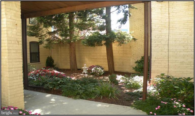 615 3rd Street Northeast, Unit 3 Washington, DC 20002 - Photo 4 of 11 Garden