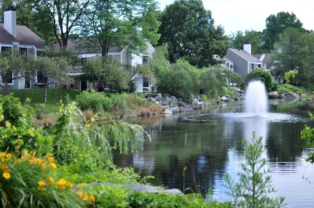 29 Concord Greene, Unit 4 Concord, MA 01742 - Photo 21 of 23 a view of lake