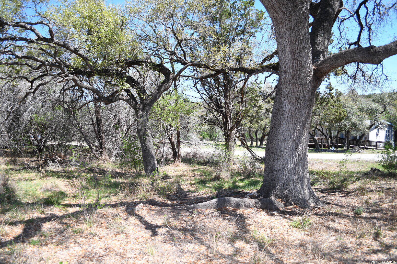 1361 Hidden Valley Drive Spring Branch, TX 78070 - Photo 5 of 28