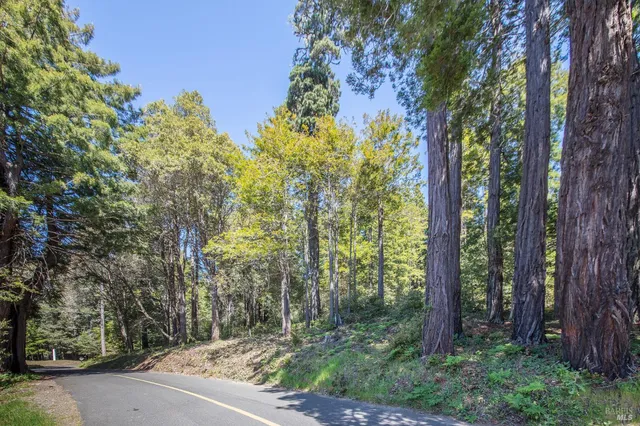 a view of backyard of a house