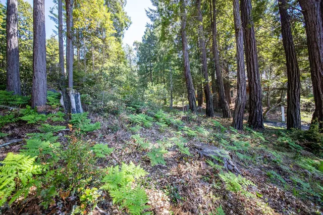 a backyard of a house with lots of green space and trees all around